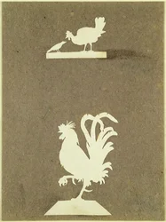 Hofvögel